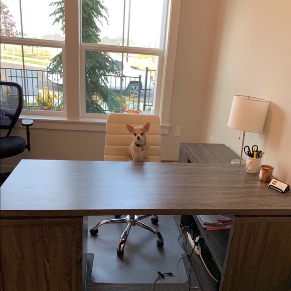 Meet your Posher, Mina - Picture 1 of 1